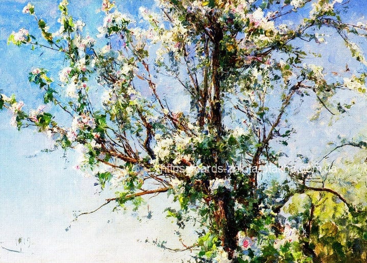 Ukrainian landscape