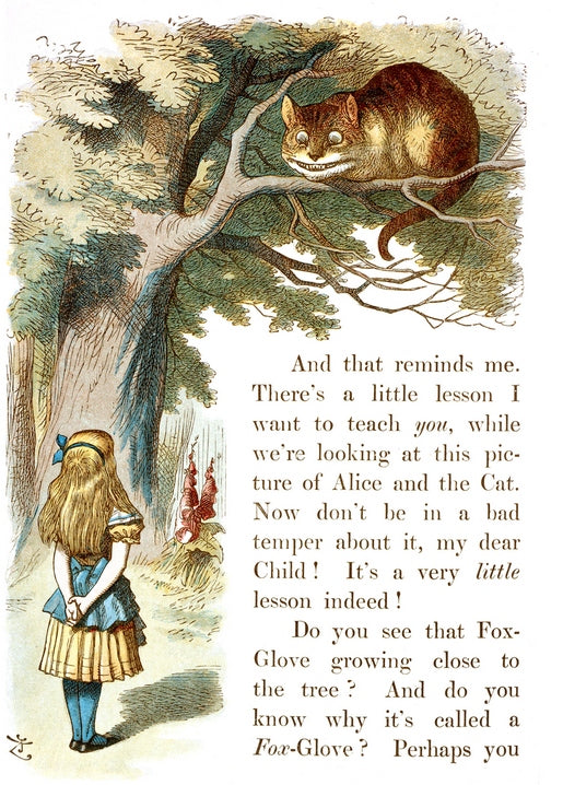 Alice looking up at the grinning Cheshire Cat perched in a tree, vintage illustration