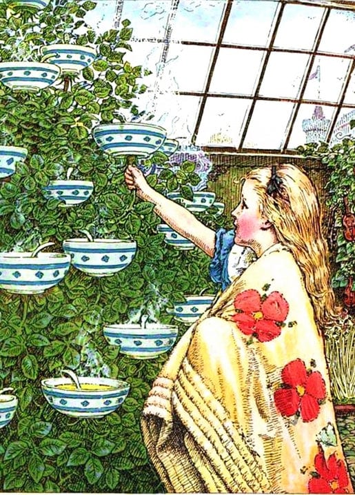 Illustration of Alice in a floral shawl reaching for blue-and-white pots in a glass conservatory.