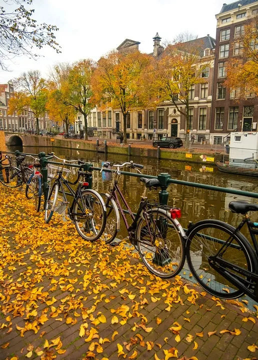 Autumn photo postcard featuring an Amsterdam canal, golden trees, historic houses and bicycles