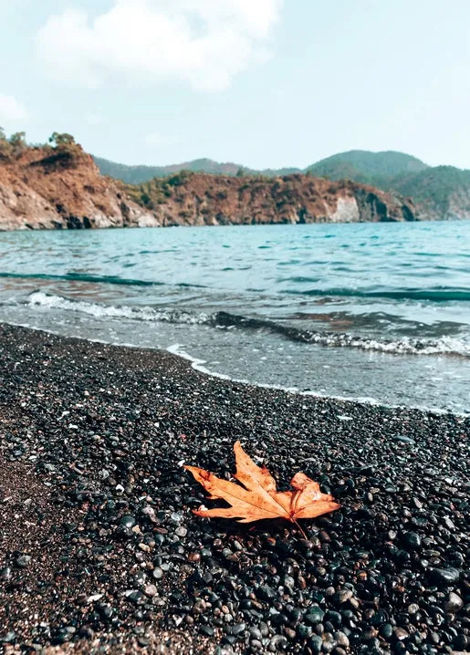 Autumn coastal photo postcard featuring an orange leaf on a black pebble beach beside blue water