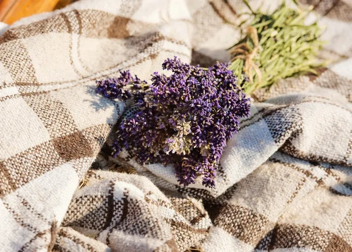 Cozy photo postcard featuring dried lavender resting on a neutral plaid blanket in sunlight