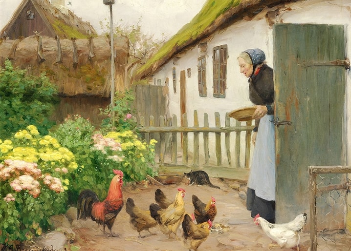 Woman feeding a rooster and hens in a sunlit farmyard with a black cat nearby