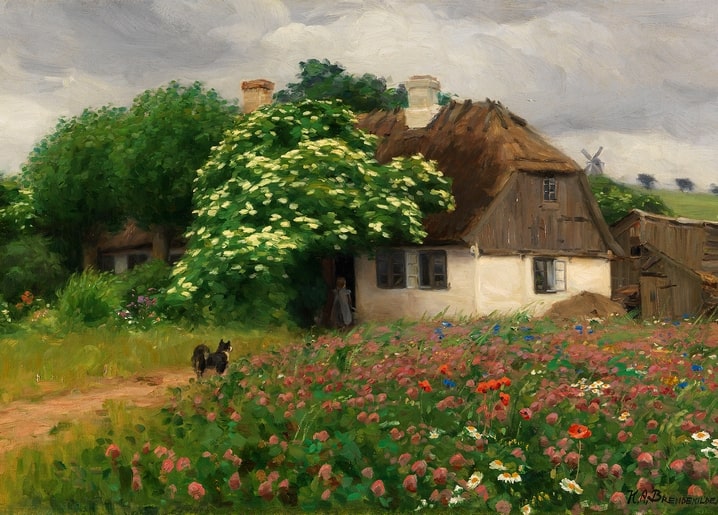 Reetgedecktes dänisches Bauernhaus hinter einer Wiese mit Mohn, Klee und Gänseblümchen, schwarzer Hund auf dem Weg.