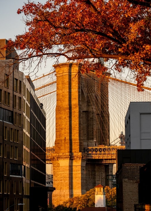 Herbstliche Baumzweige vor einem Steinpfeiler der Brooklyn Bridge im goldenen Licht