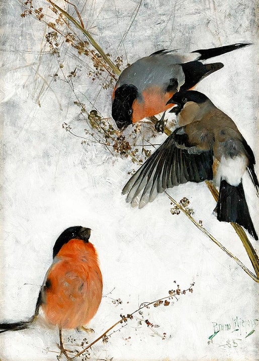Gemälde von Bruno Liljefors: zwei Gimpel auf einem winterlichen Zweig und ein dritter im Schnee, 1885.