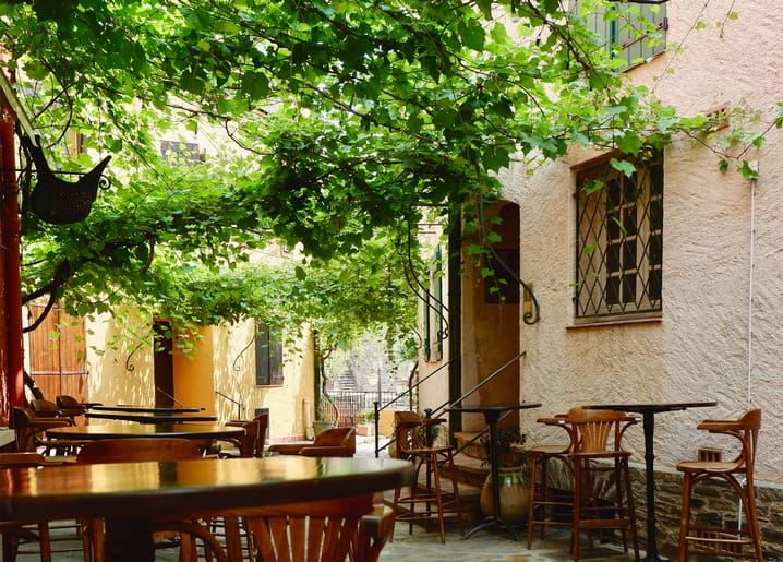 Empty café terrace with wooden tables shaded by a leafy grapevine canopy