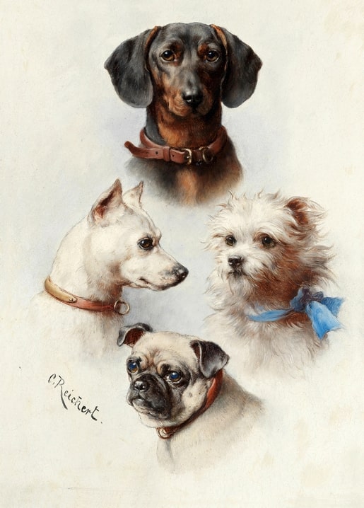 Carl Reichert painting of four dog portraits — dachshund, terrier, shaggy lapdog and pug