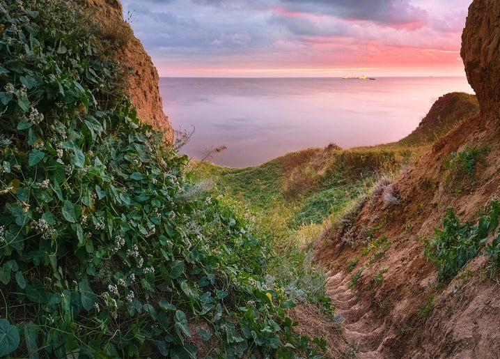 Cliff path through wildflowers down to the sea at Rybakivka during sunset