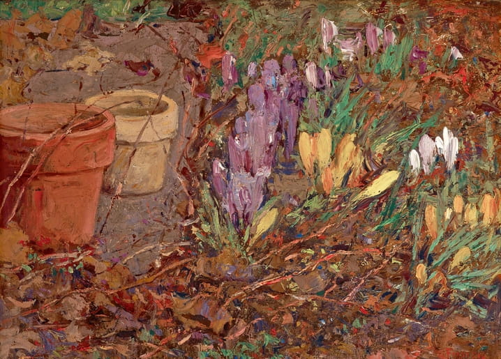 Still life painting of purple and yellow crocuses beside two terracotta garden pots