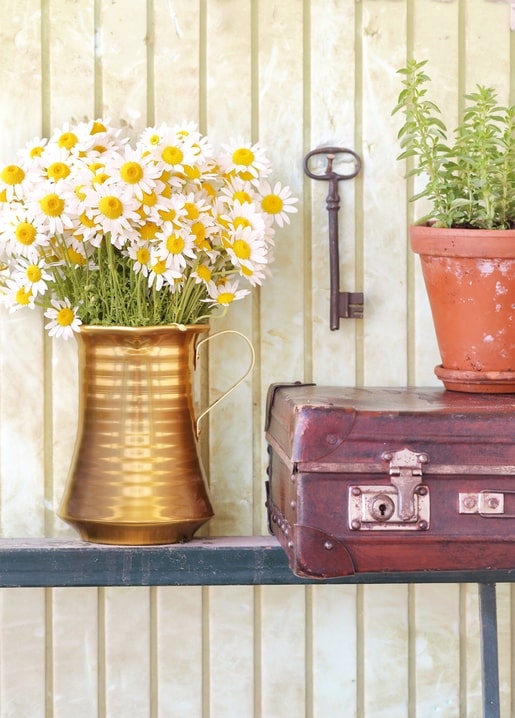 Brass jug of white daisies beside a vintage key, potted herb and old leather suitcase