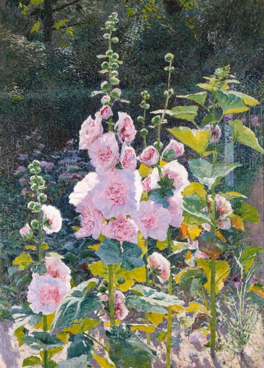 Hohe rosa Stockrosen vor einer dunklen Hecke, Gemälde von Emile Claus
