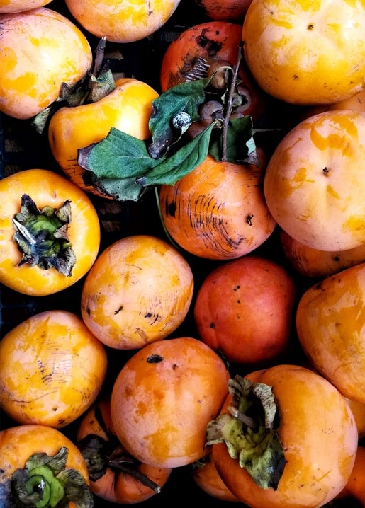 autumn photo postcard