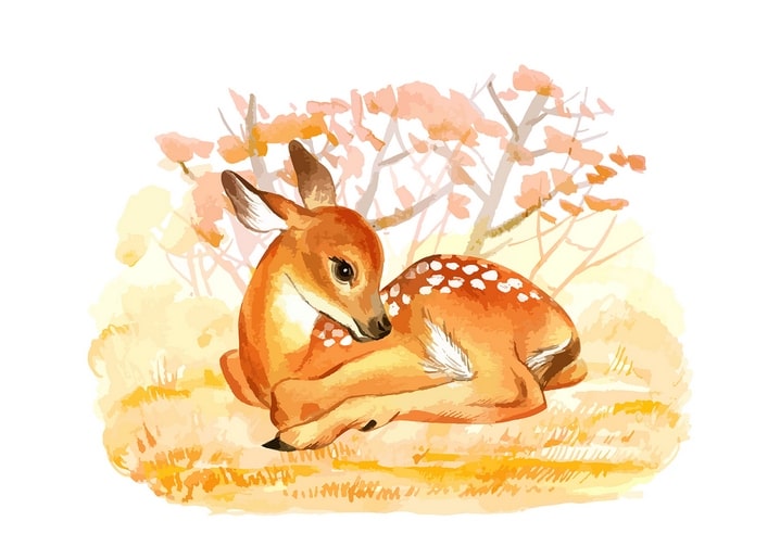 Watercolor illustration of a spotted fawn curled up asleep in golden autumn grass