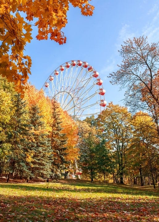 Riesenrad umrahmt von goldenen Herbstbäumen im Park unter blauem Himmel