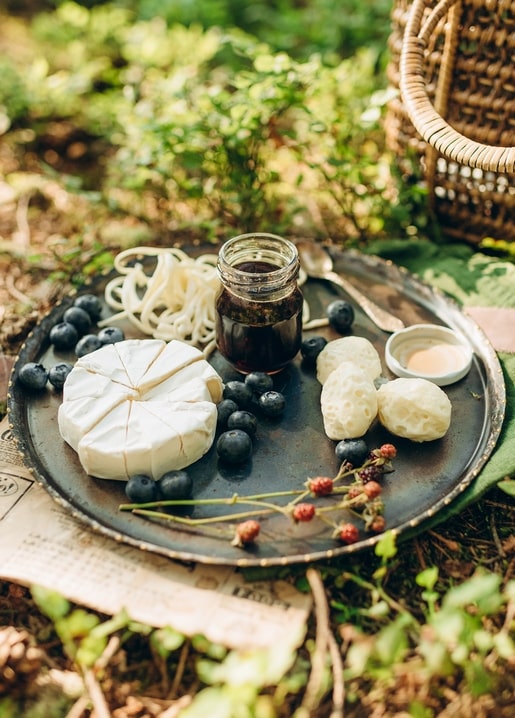 Waldpicknick-Teller mit Käse, Blaubeeren, Konfitüre und Walderdbeeren neben einem Korb