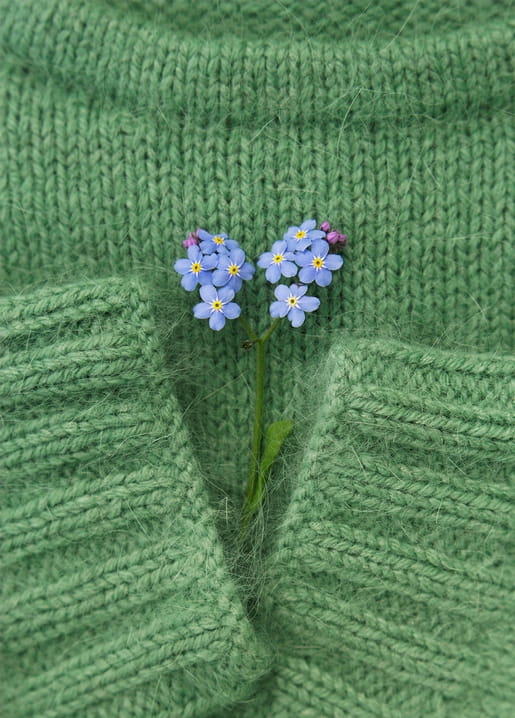 Blue forget-me-nots tucked into the collar of a green knit sweater