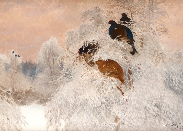 Gemälde von Bruno Liljefors von 1905: Fuchs und Birkhühner zwischen stark bereiften Bäumen