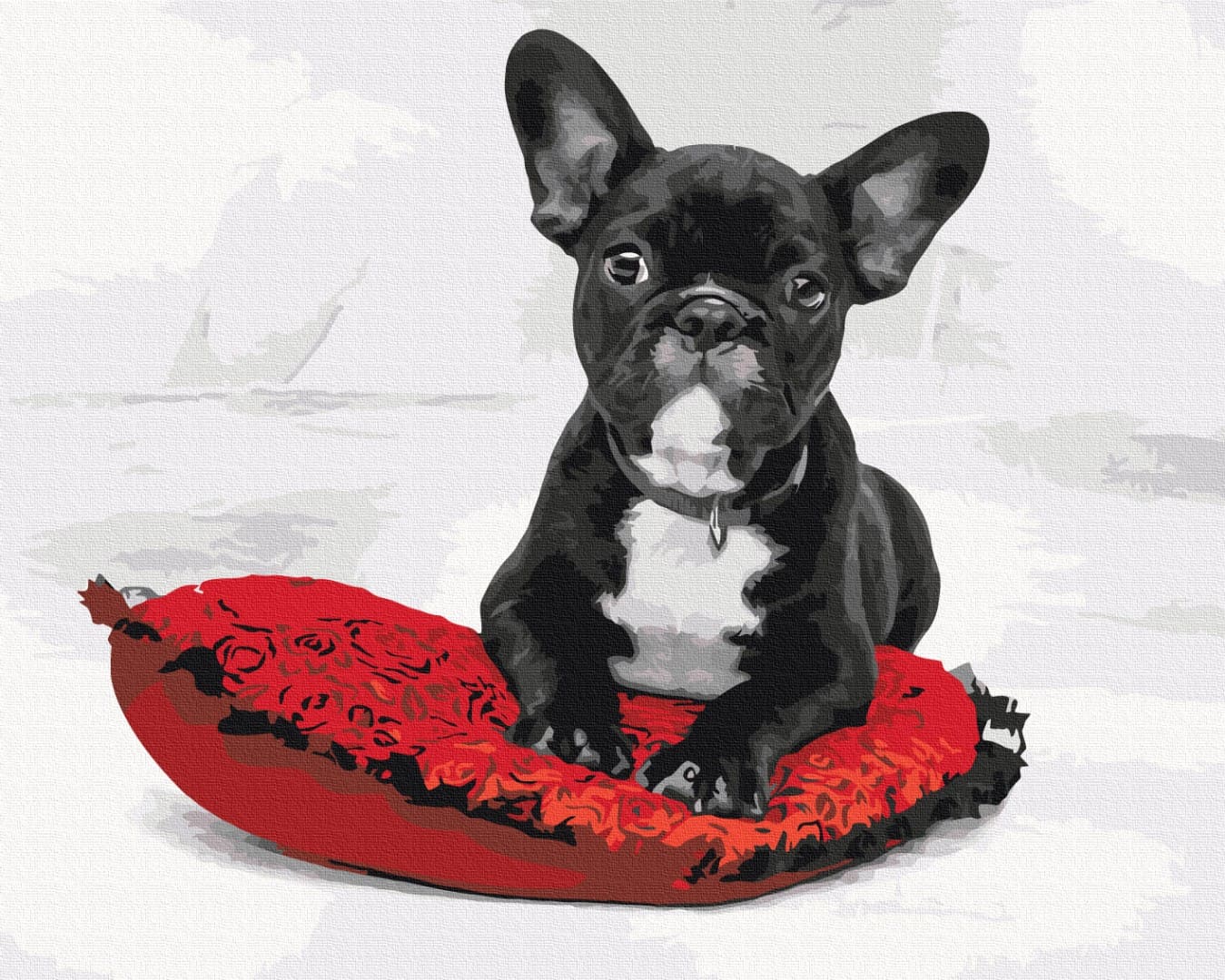 Schwarzer Französische-Bulldogge-Welpe auf rotem Rosenkissen, Malen nach Zahlen