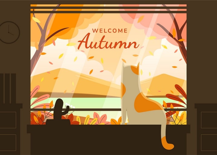 Ginger and white cat sitting on a windowsill, watching an autumn sunset over a lake and mountains