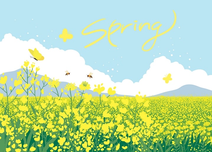 Schriftzug „Spring“ über einem blühenden gelben Feld mit Schmetterlingen, Bienen und fernen Bergen.