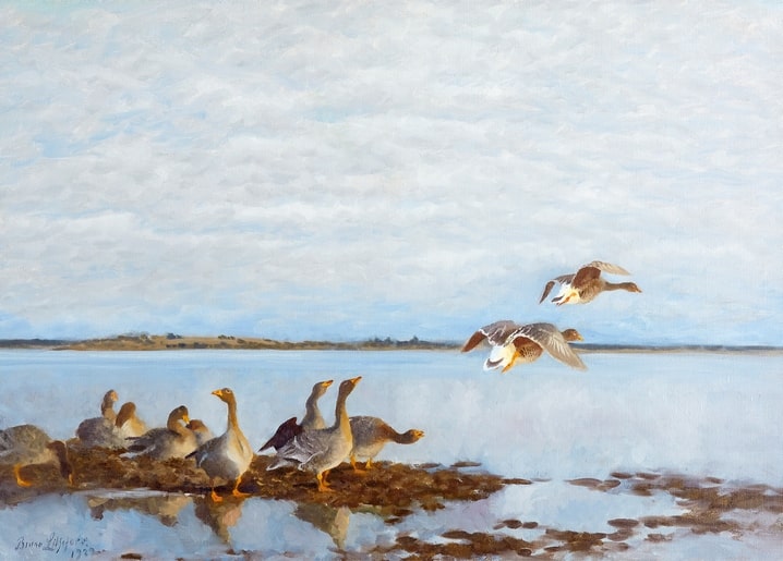 Graugänse am Wattenufer, zwei Vögel im Flug über ruhigem Wasser, Gemälde von Bruno Liljefors, 1922.
