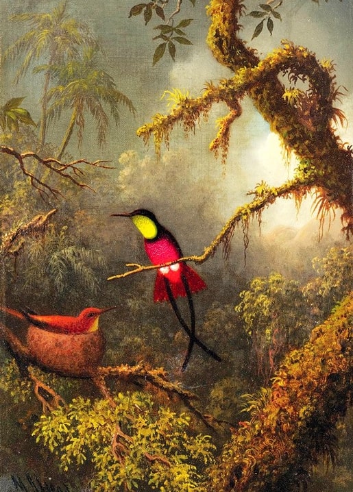 Kunstpostkarte nach Heades Gemälde zweier Kolibris im nebligen brasilianischen Regenwald