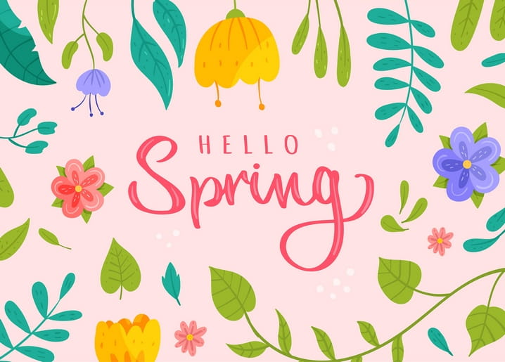 Напис «Hello Spring» серед жовтих дзвіночків і фіолетових квітів на рожевому тлі