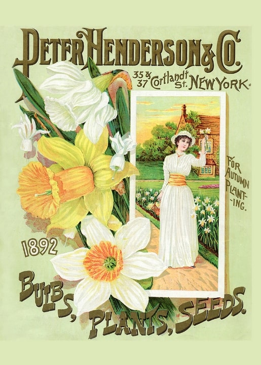 Peter Henderson & Co. 1892 catalog cover with daffodils and a woman in a garden