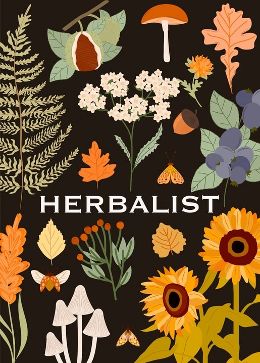Dark botanical postcard titled Herbalist with ferns, mushrooms, acorns and sunflowers