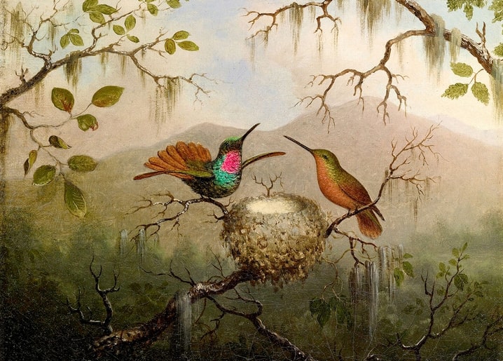 Gemälde von Martin Johnson Heade: zwei Kolibris am Nest vor Wasserfällen in den Bergen