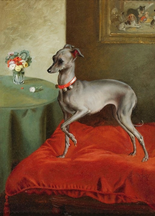 19th-century English School painting of an Italian Greyhound on a red velvet cushion