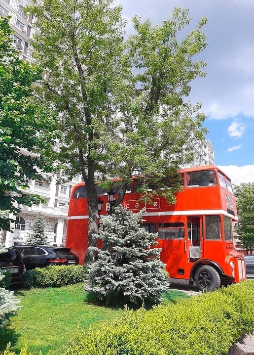 Leuchtend roter Londoner Doppeldecker, zum Stadtgarten-Café umgebaut in Kyjiw, mit silberblauer Fichte vor dem Eingang und Sommerhimmel über modernen Wohnhäusern.