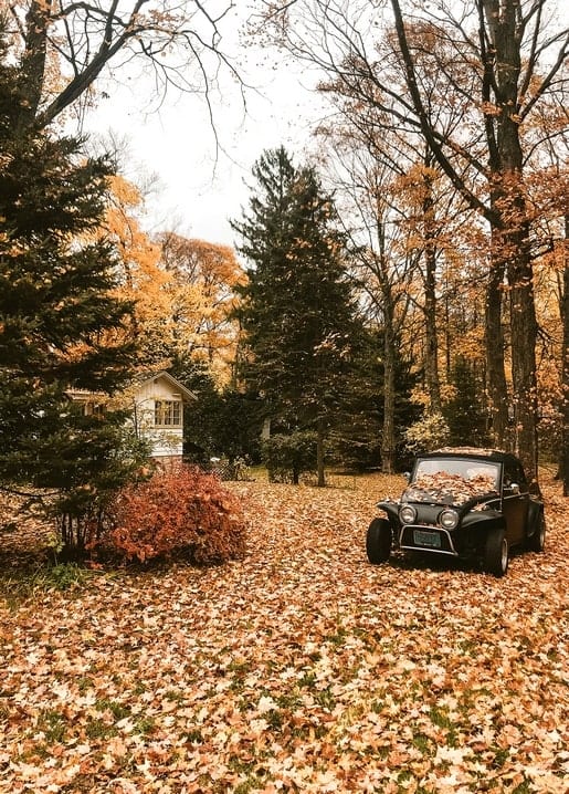 Foto Herbststimmung
