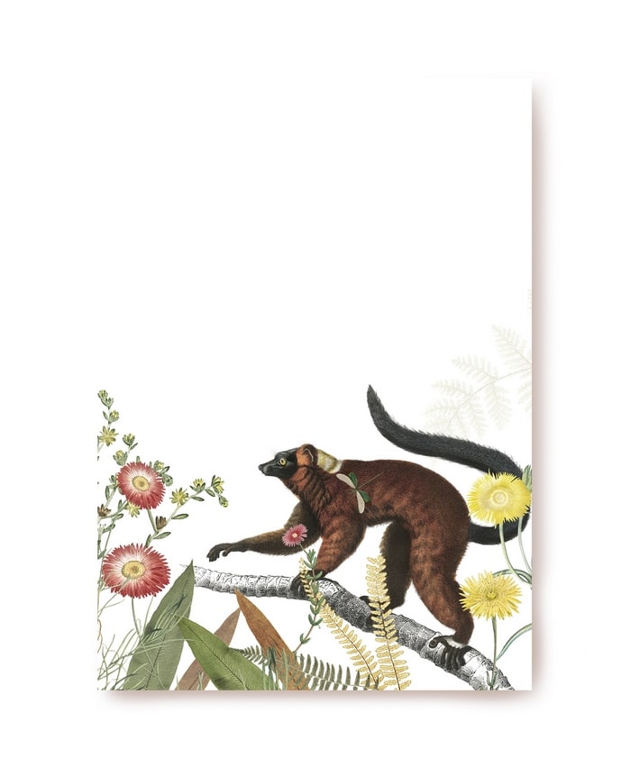 Lemur walking along a branch past pink and yellow wildflowers
