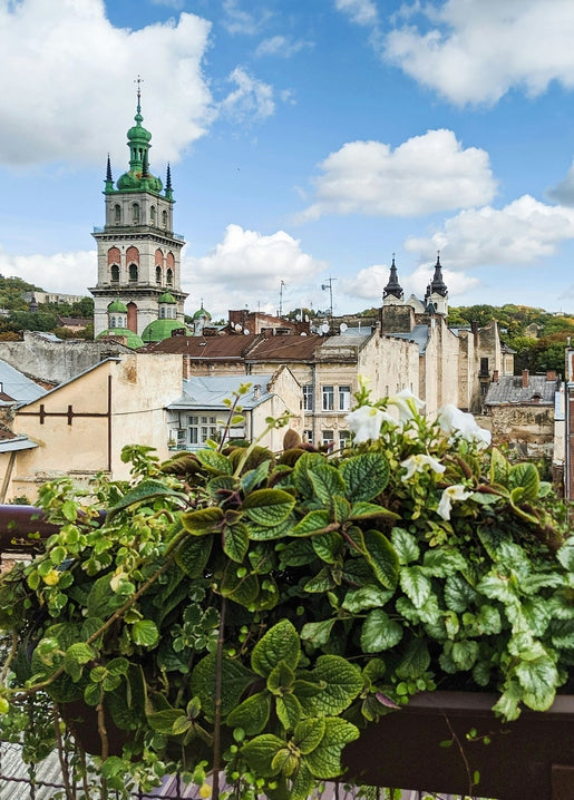 Potted greenery on a balcony framing Lviv's old town rooftops and a baroque bell tower