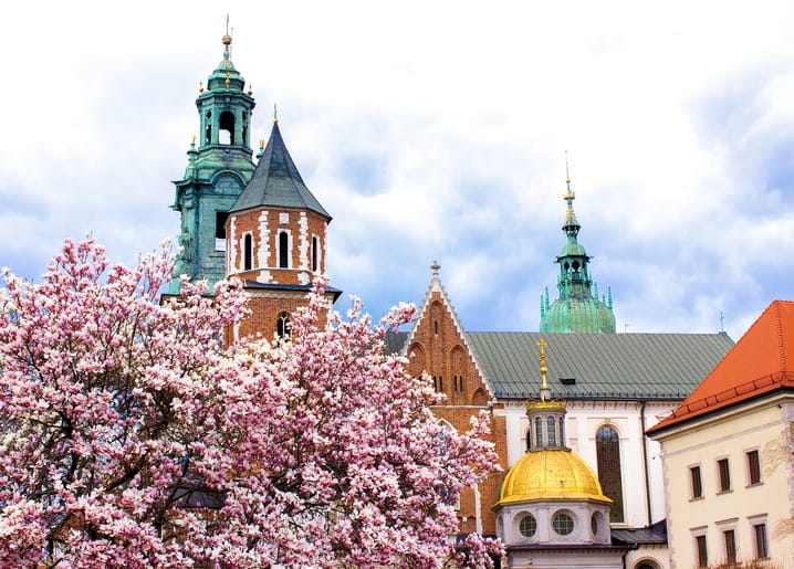 Pink magnolia blossoms in front of green-domed historic towers under a spring sky