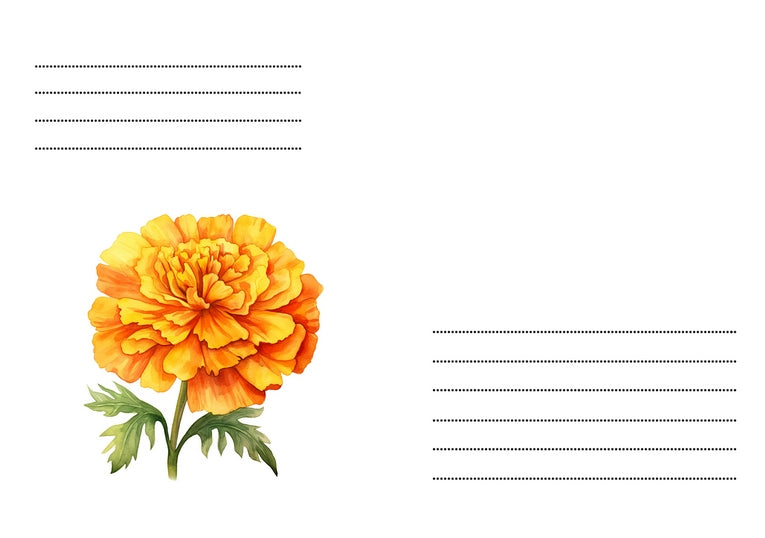 Briefumschlag mit einer einzelnen Aquarell-Tagetes in Orange und Gold