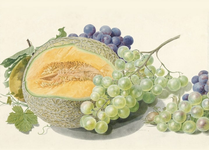 Still-life painting of a halved melon, grapes, a peach and hazelnuts by Michiel van Huysum