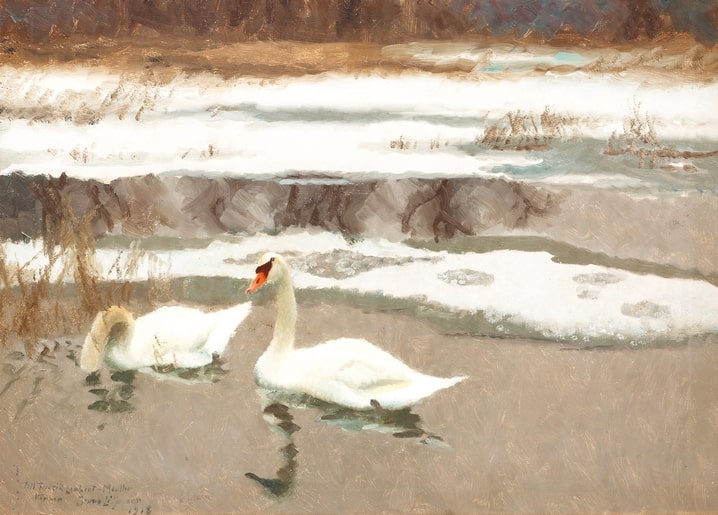Gemälde von Bruno Liljefors: zwei Höckerschwäne auf halb zugefrorenem Wintersee