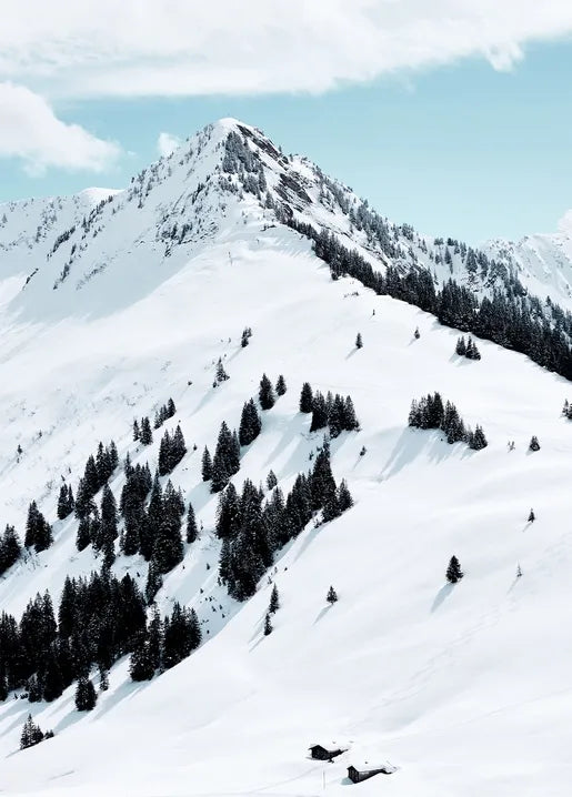 Winter Inspiration - Postcard