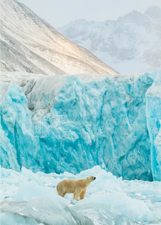 Winter Inspiration - Postcard