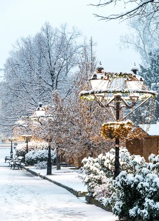 Winter Inspiration - Postcard