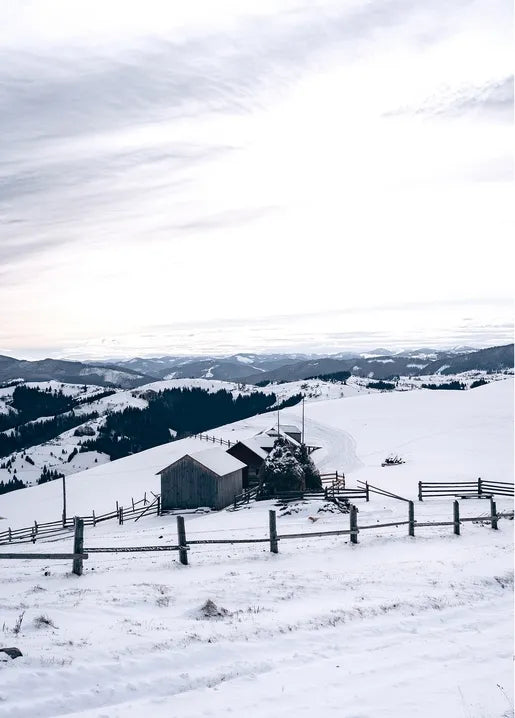 Winter Inspiration - Postcard