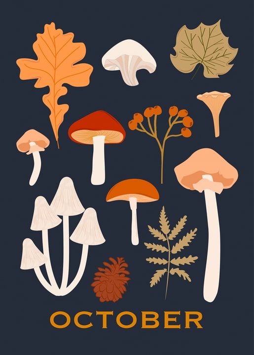Navy postcard titled October with wild mushrooms, oak leaf, pinecone and fern