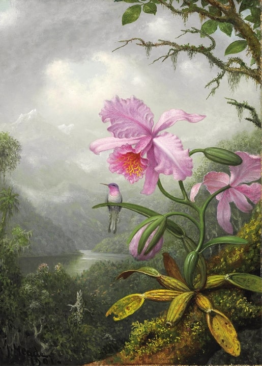 Rosa Cattleya-Orchidee mit Kolibri über einem nebligen Bergsee, signiert von Heade