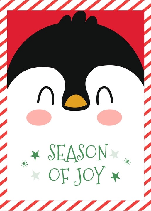 Minimalist penguin face on a red-and-white candy-cane striped border