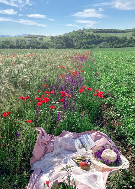 Strohhut, Buch und Obst auf einer rosa Picknickdecke am Rand eines Mohnfelds