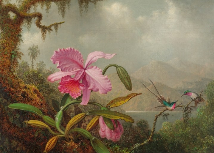 Gemälde von Martin Johnson Heade: rosa Cattleya-Orchidee mit zwei Kolibris am Bergsee