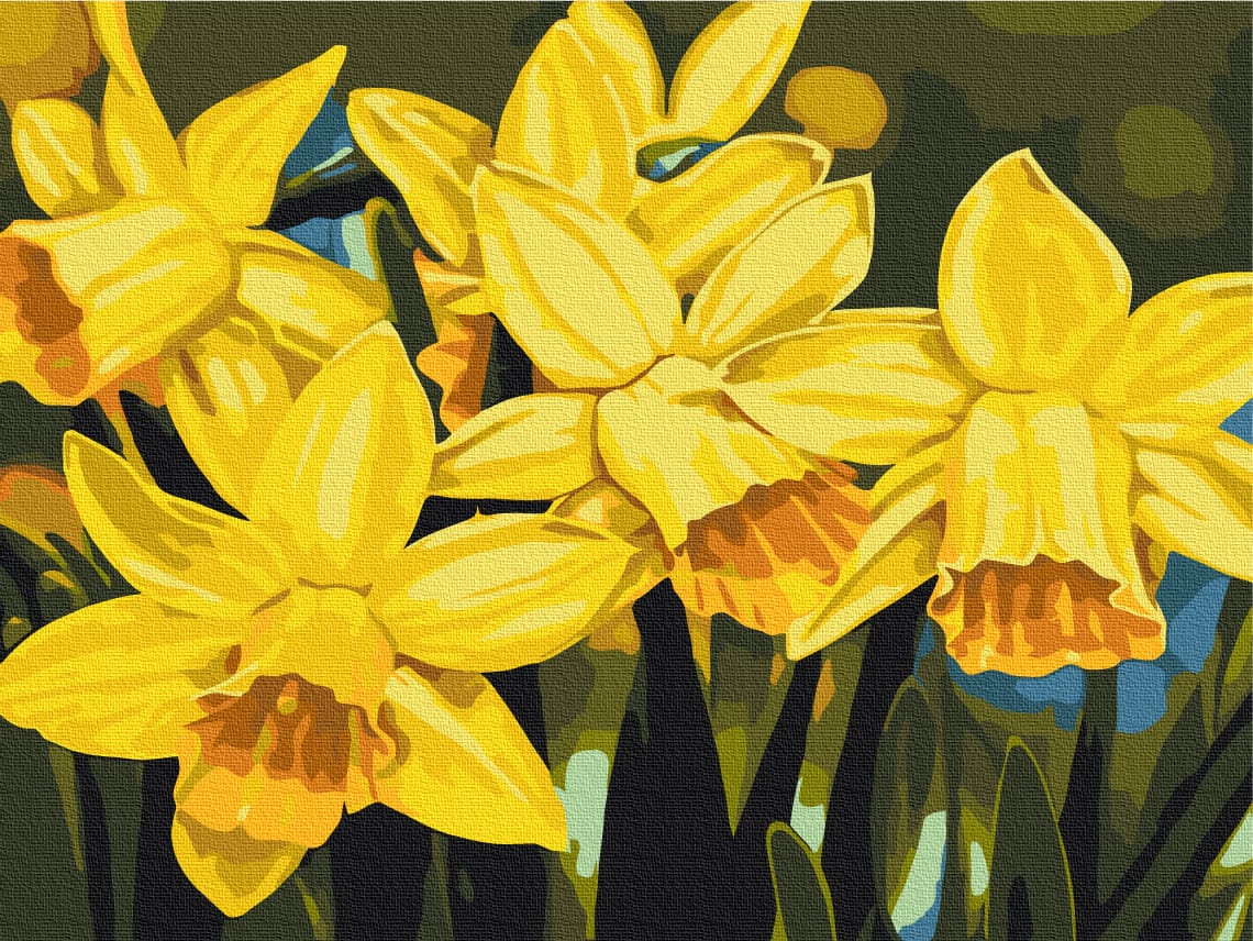 painting by numbers